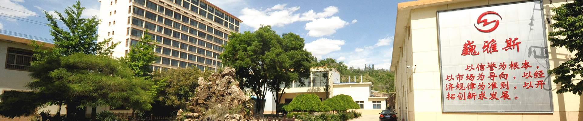 巍雅斯開(kāi)創(chuàng  )于1976年，47年來(lái)，在黨的改革開(kāi)放政策指引下，始終堅持“以信譽(yù)為根本、以市場(chǎng)為導向、以經(jīng)濟規律為準則、以開(kāi)拓創(chuàng  )新求發(fā)展”，與甘肅、寧夏、青海、陜西、西藏、內蒙等六省區80多家大型零售商場(chǎng)建立了長(cháng)期友好的合作關(guān)系。